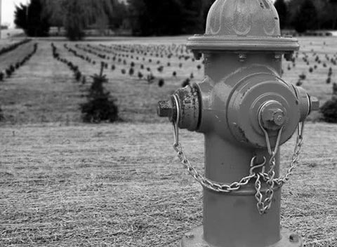 短信轰炸机在线网页版